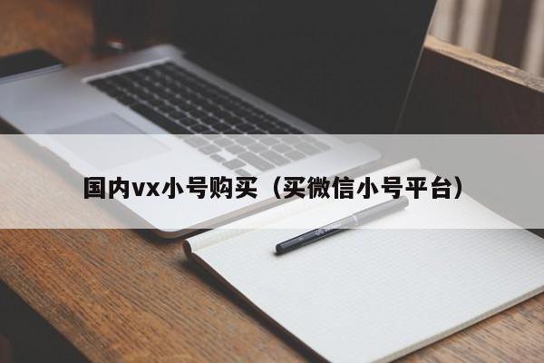 国内vx小号购买(买微信小号平台)