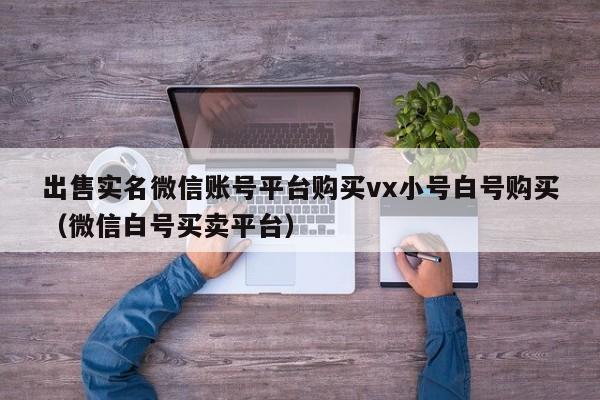出售实名微信账号平台购买vx小号白号购买（微信白号买卖平台）