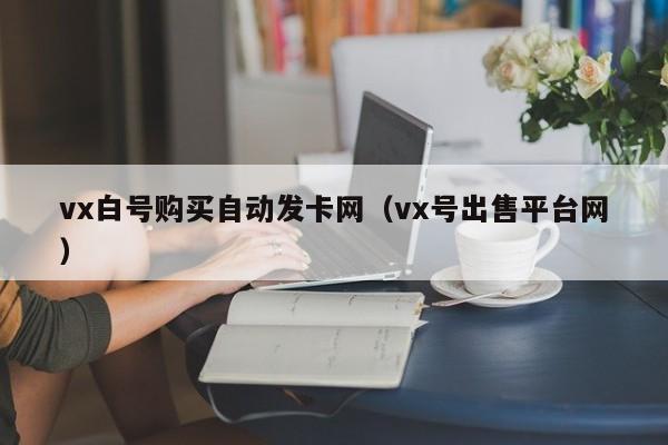 vx白号购买自动发卡网（vx号出售平台网）