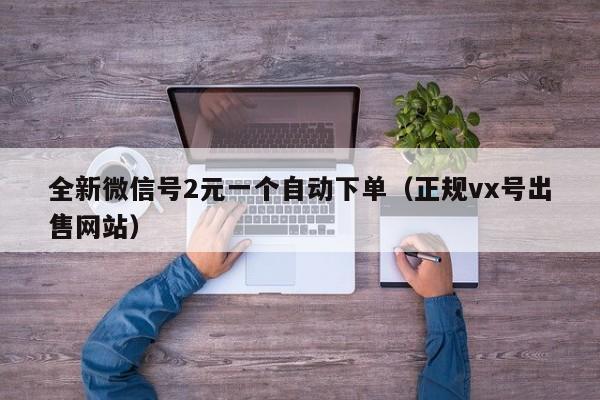 全新微信号2元一个自动下单（正规vx号出售网站）