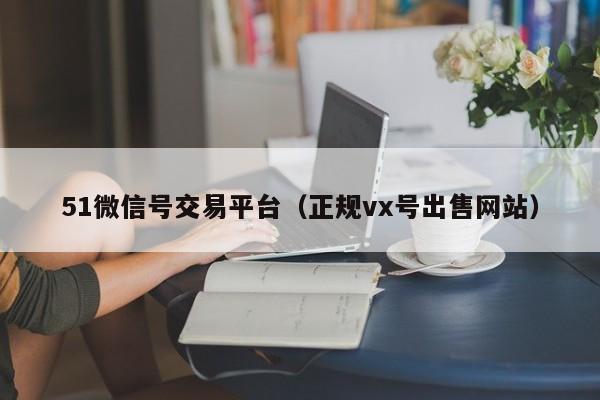 51微信号交易平台(正规vx号出售网站)