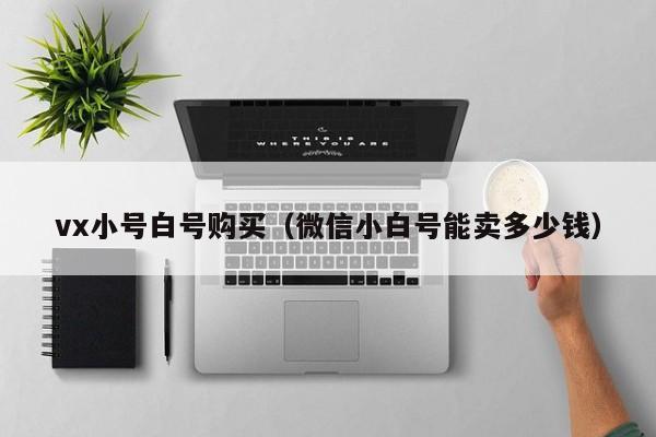 vx小号白号购买（微信小白号能卖多少钱）