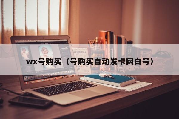 wx号购买（号购买自动发卡网白号）