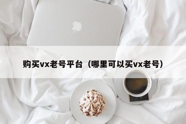 购买vx老号平台(哪里可以买vx老号)