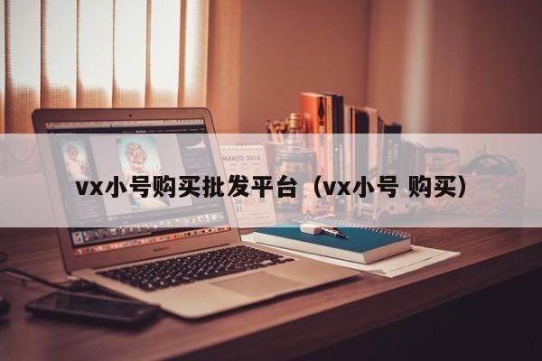 vx小号购买批发平台（vx小号 购买）