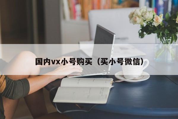国内vx小号购买（买小号微信）