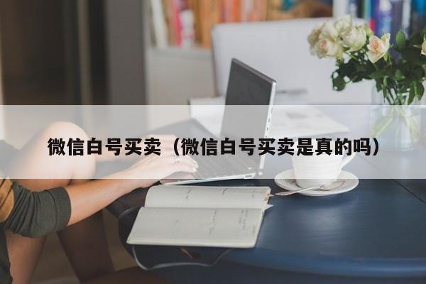 微信白号买卖（微信白号买卖是真的吗）