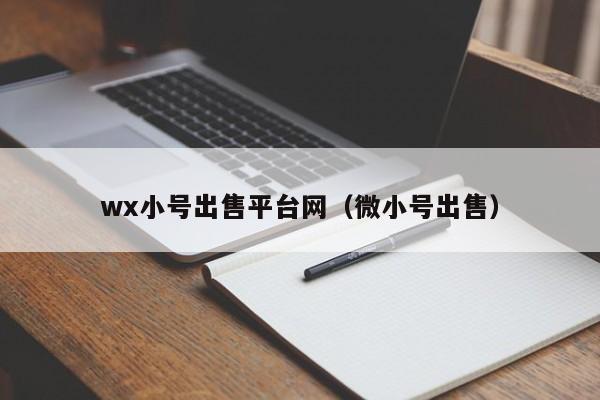 wx小号出售平台网(微小号出售)