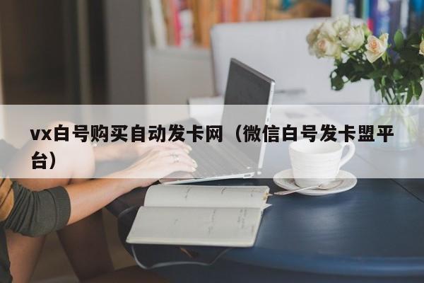 vx白号购买自动发卡网（微信白号发卡盟平台）