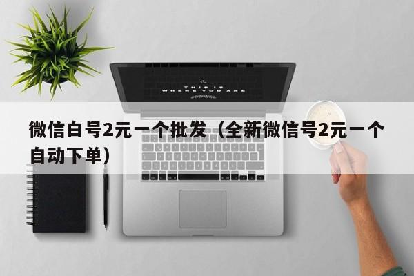微信白号2元一个批发（全新微信号2元一个自动下单）