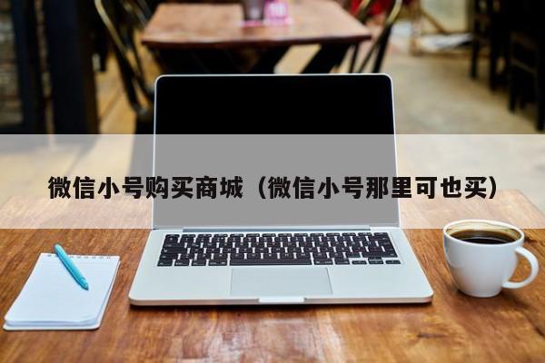 微信小号购买商城（微信小号那里可也买）