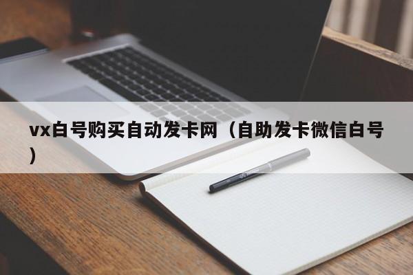 vx白号购买自动发卡网（自助发卡微信白号）