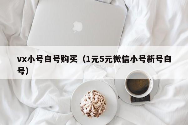 vx小号白号购买（1元5元微信小号新号白号）